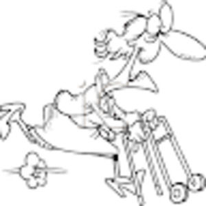 Meet your Posher, Carrie